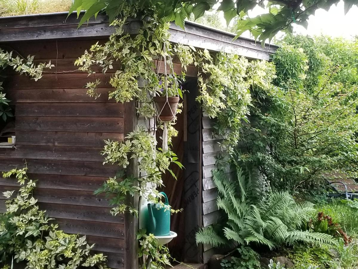 Chambre D'Hotes De Charme, Un Temps En Foret Westhouse 외부 사진